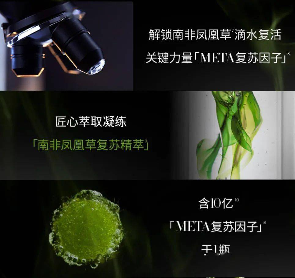 凤凰草奶油色，穿上身太美了！