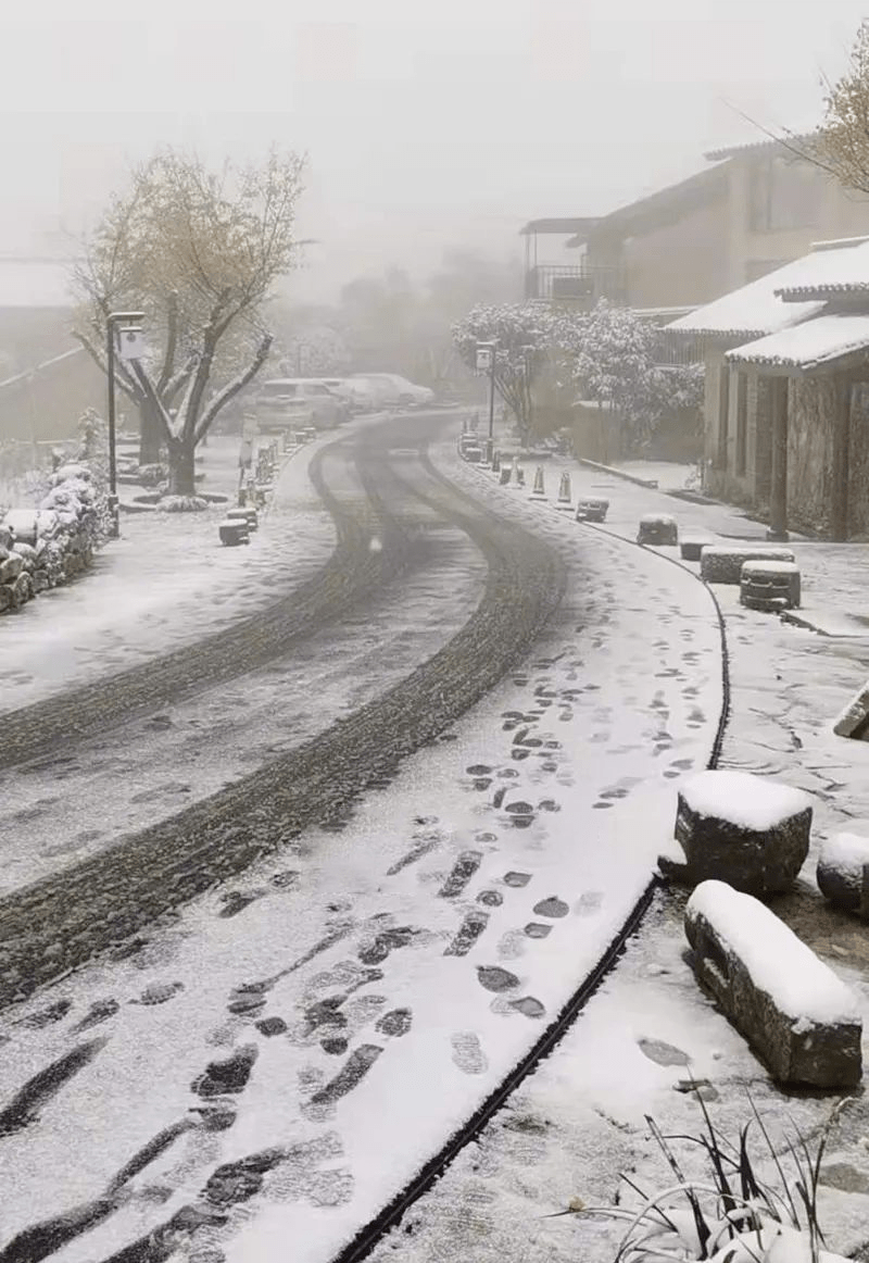 小雨|义乌，下！雪！了！