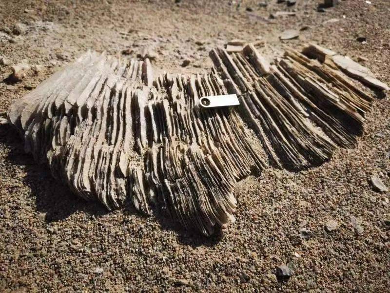 青海偏远深山竟有星光大道67