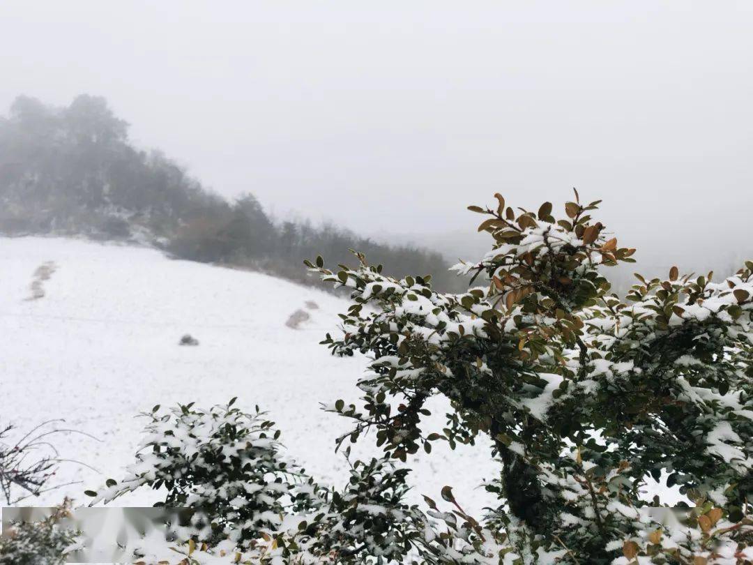 湖南雪景图片素材-编号12042968-图行天下