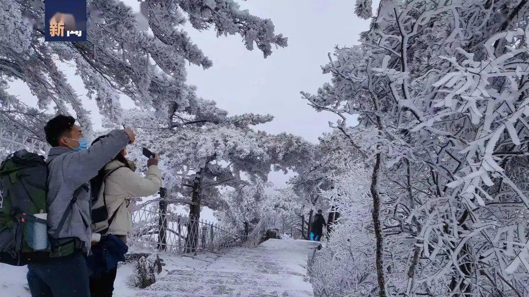 寒潮|南方下“大雪”了？！初雪打卡照火了！网友：南方人的限定版快乐