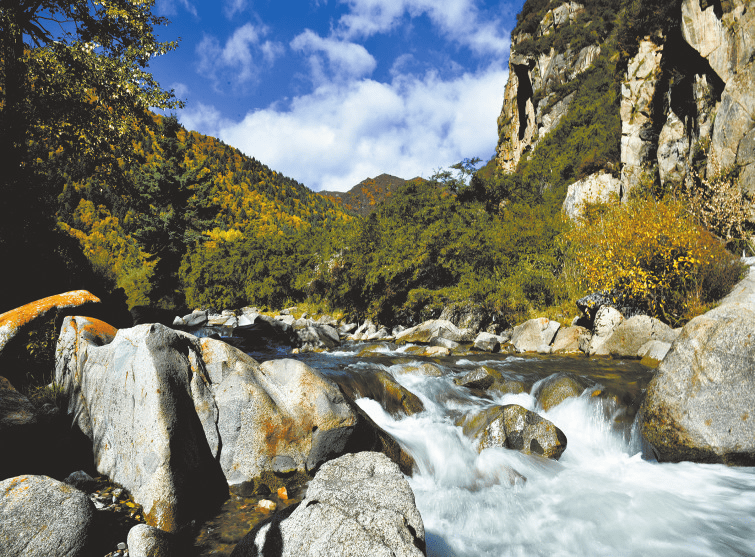 清秀南川河_西宁_小南川_生态