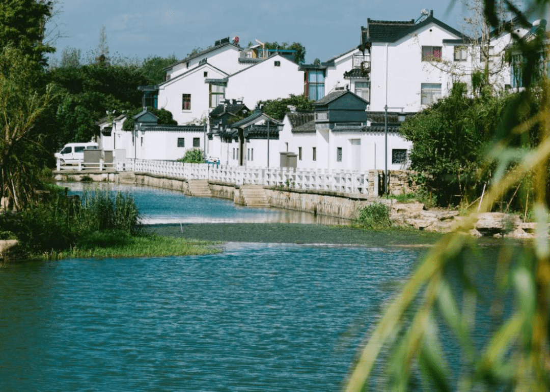 共同缔造美好吴中柳舍村藏在太湖边的民宿聚集地