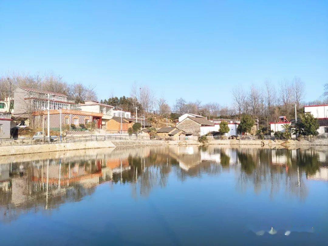 罗山县周党镇我为老家亮灯老家为我点赞