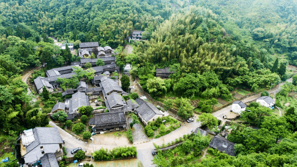 教授下乡记黄岩共富故事上了央媒