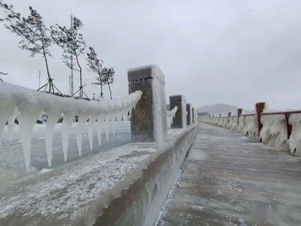 冰凌|太震撼！威海烟台一夜进入“冰河世纪”，栏杆、树木挂满冰凌 网友：北极圈山东分圈