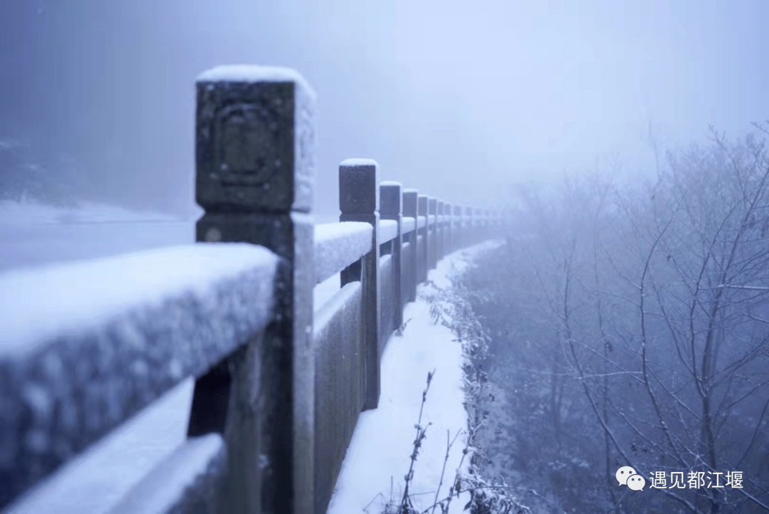 雪景|不负众望！都江堰下雪啦！最美雪景在这里~