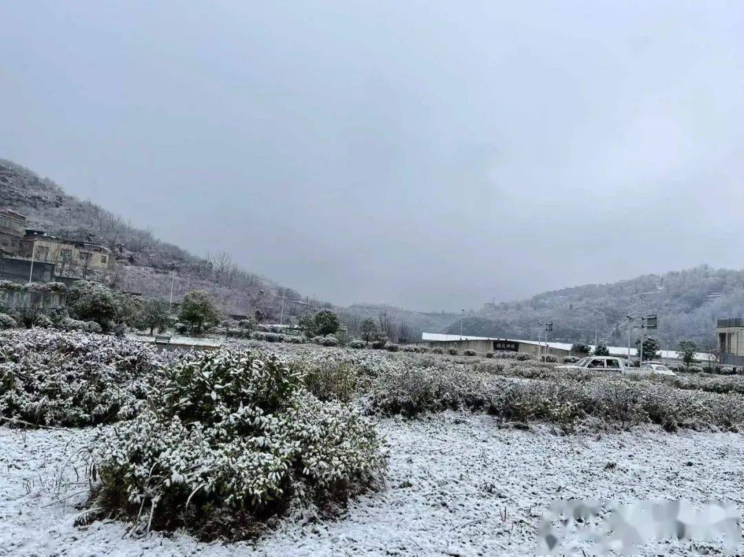 贵州各地雪景大pk!_遵义市_地区_江黔