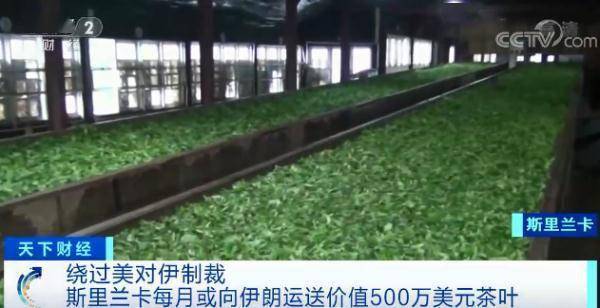 沒有錢，「分期付茶」還債？！伊朗同意了！16億元石油債務，這個國家用茶葉還 國際 第4張