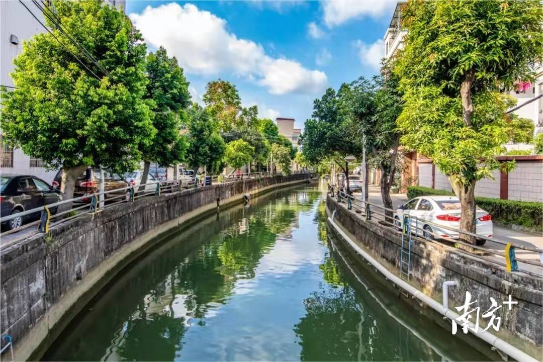 小榄镇以四个聚力攻坚力促党代会精神落地落细落实