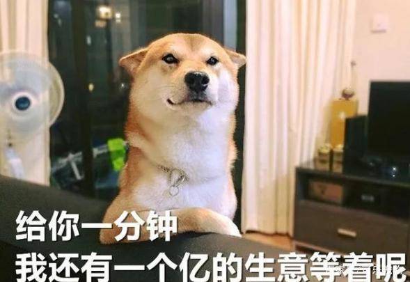 90eb37d442f042ccb0455f9ef0917df6.jpeg
