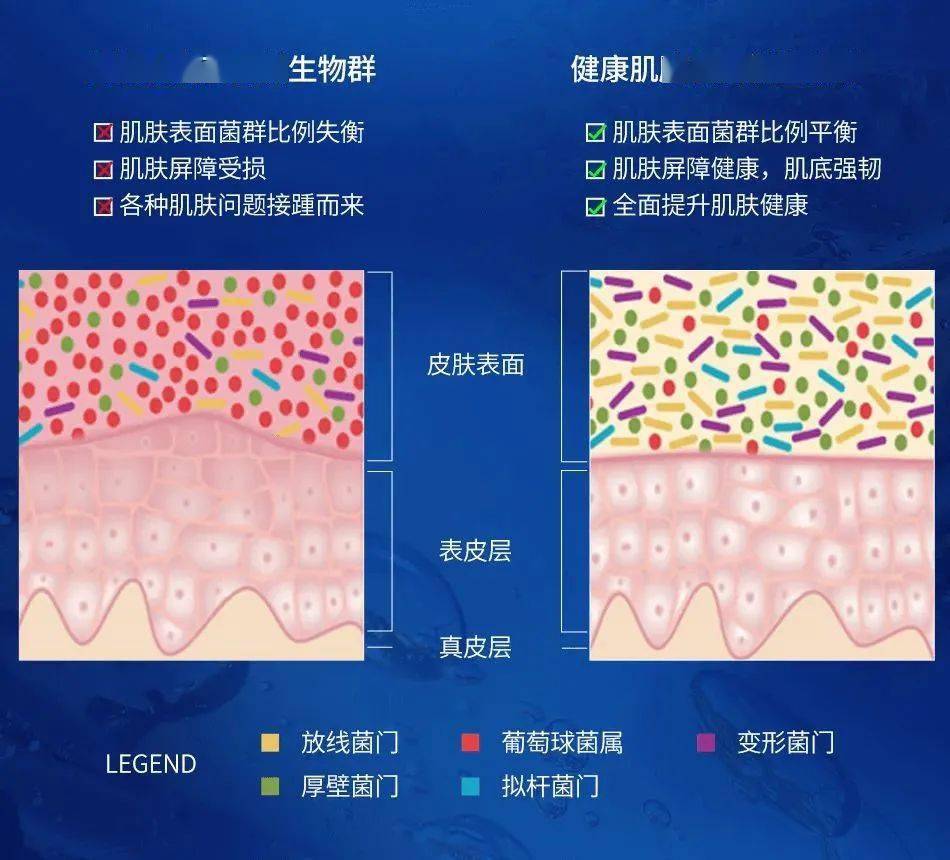 屏障为什么她敷出了从美容院出来的效果？