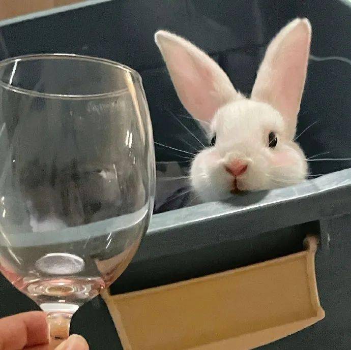 头像今日份微信头像爱不释手