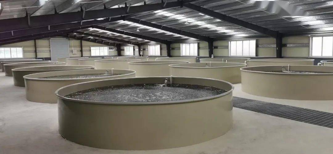 国家严控环保水产需要效益那工厂化循环水智慧养殖都有哪些看点