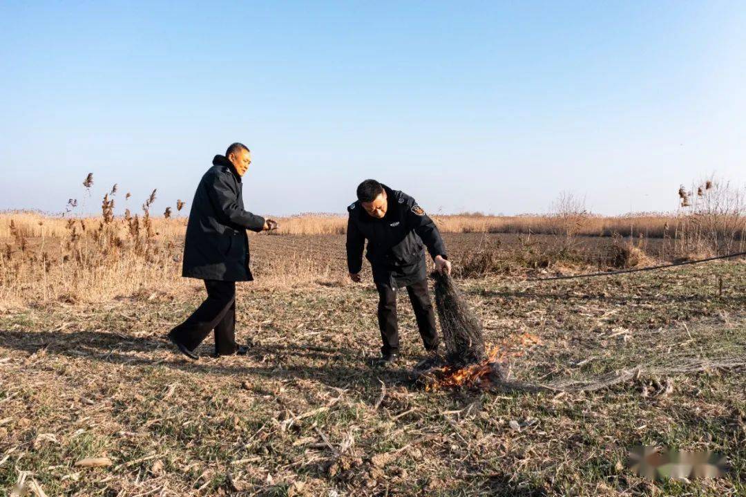 佈置陷阱捕鳥嚴懲網格員化身護鳥員暖