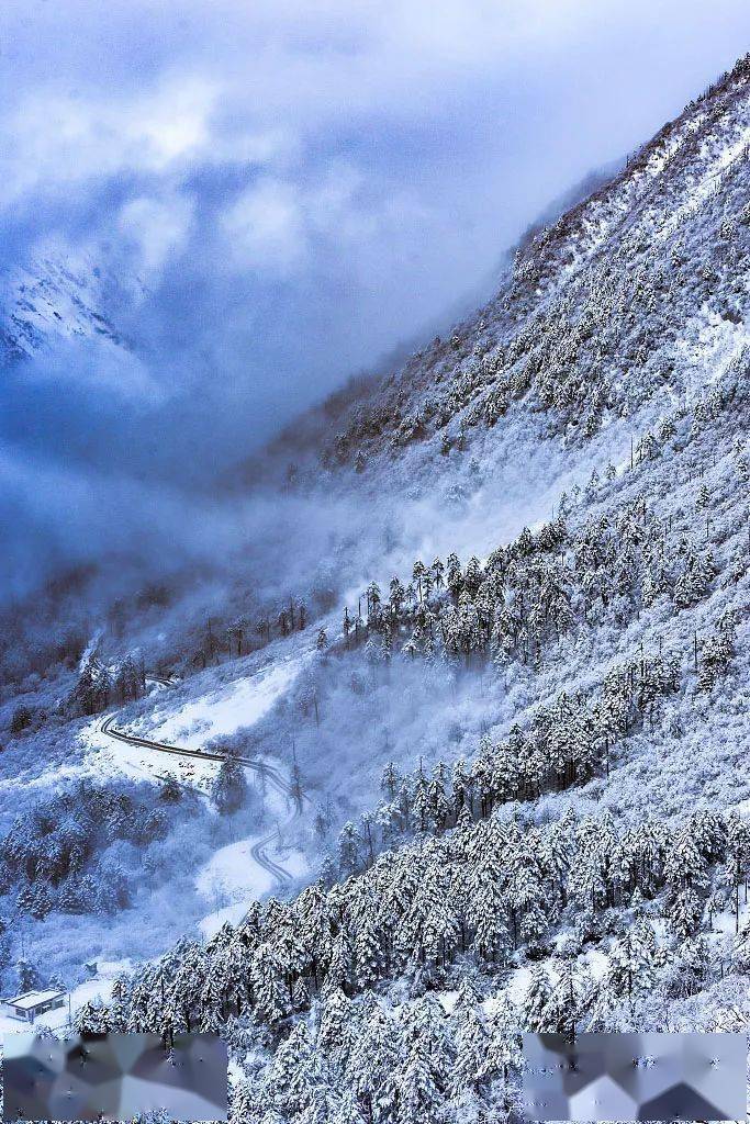 等一个人陪我去冬天的林芝赏尽白雪皑皑的山和千里冰封的湖