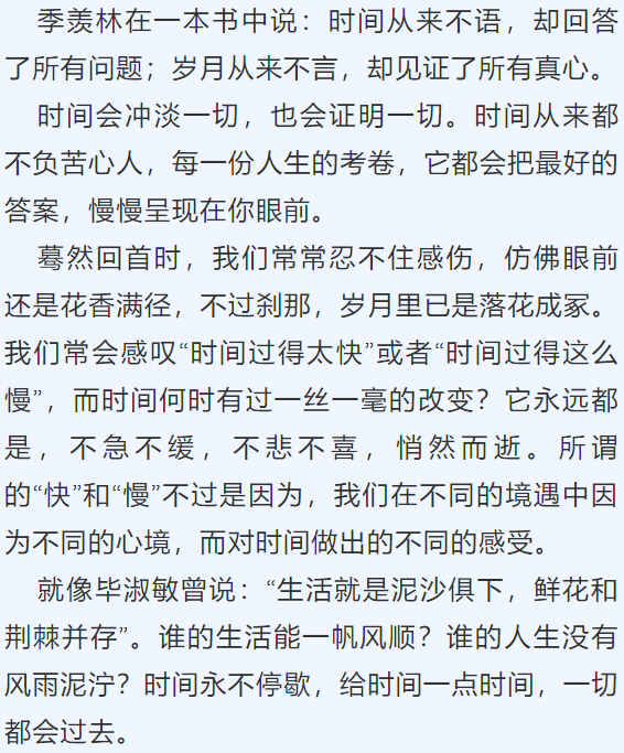 漫步于悠悠小道：寻找心灵的栖息地