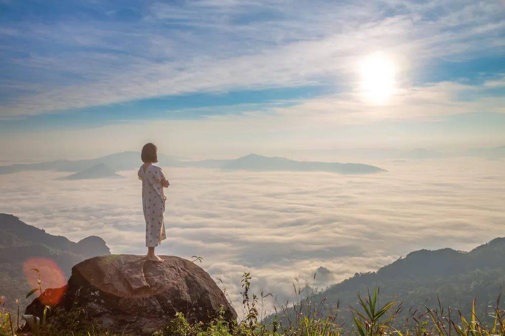 曹操|聪明与智慧的区别（深刻）