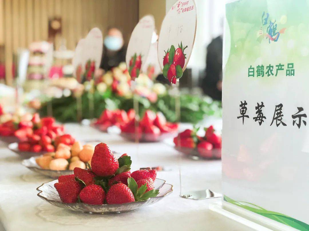 青浦“莓”香飘进云南德宏州 一年一度的“白鹤草莓节”如期而至