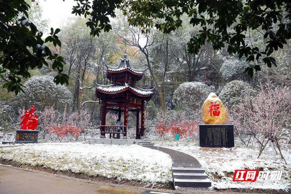 红墙|组图 | 一起“打卡”蒸湘雨母山“雪世界”