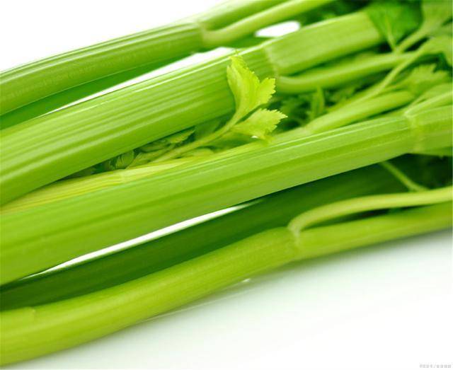 啥时候种芹菜籽 b5c287e81d0f4359a4e9cc8772d6f5b5.jpeg