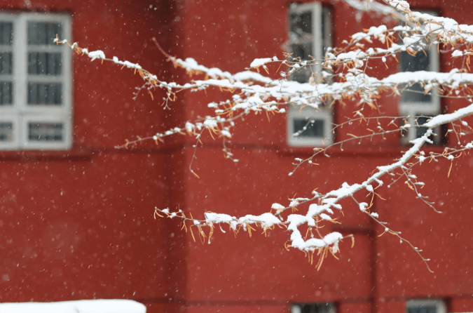 初雪|湖南高校初雪图鉴 第一次这么认真地赏雪