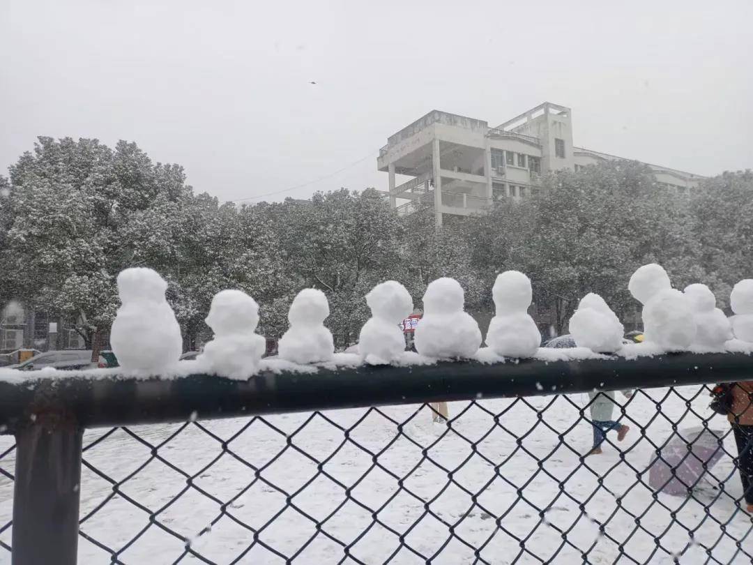 初雪|湖南高校初雪图鉴 第一次这么认真地赏雪