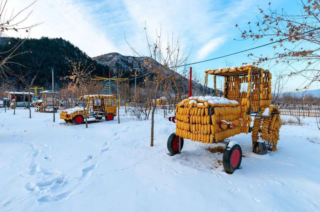 运动会|青山园冰雪嘉年华，治好你的玩雪渴望症