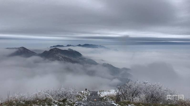 游客|人间仙境！带你领略不一样的冬季雪景