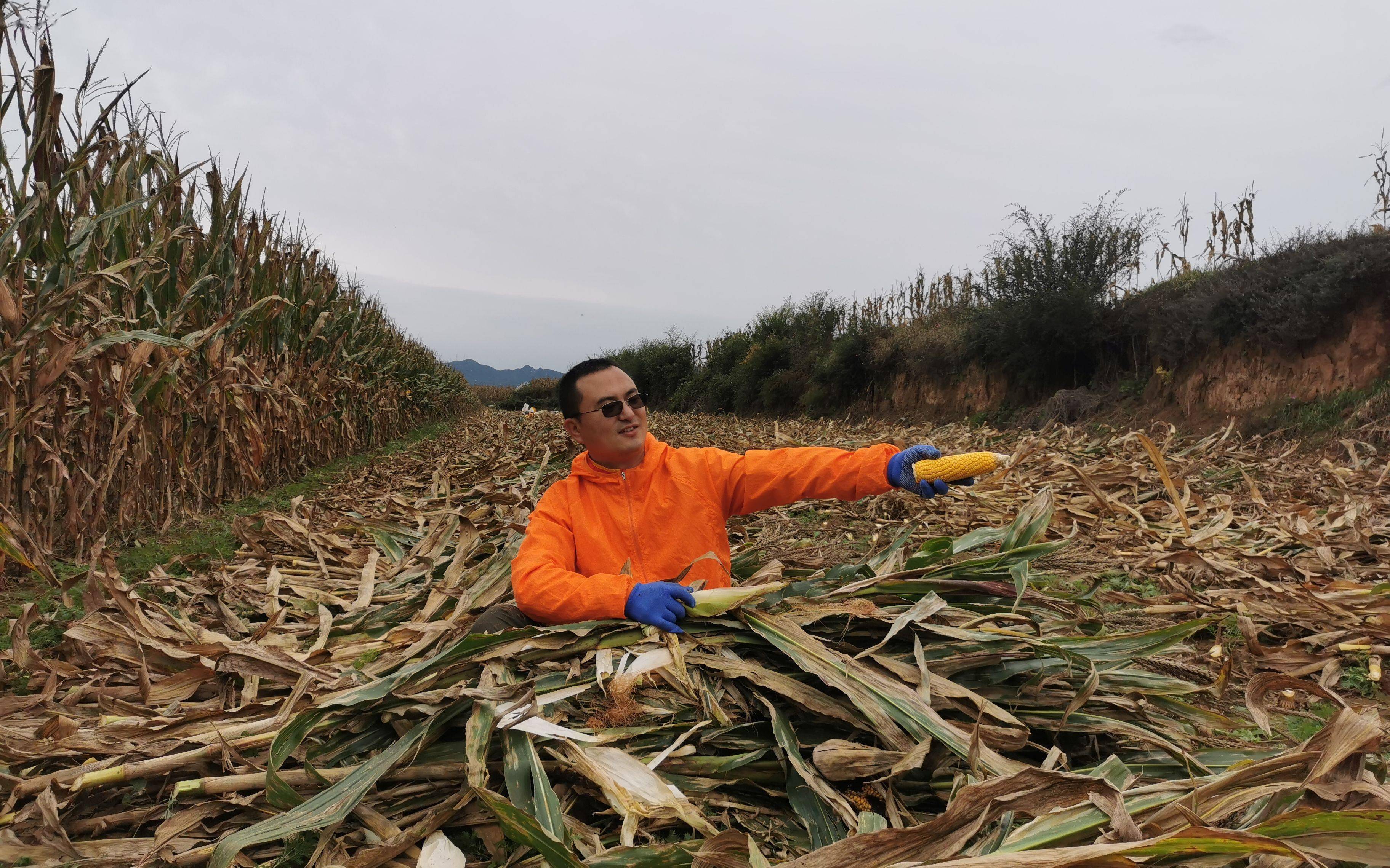 张凯|年终策划丨延庆农民滑雪队：全靠冬奥 把我们聚在一起