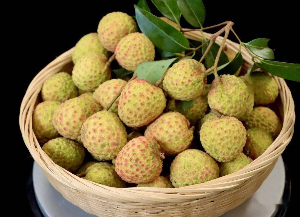 全国优质荔枝擂台赛揭晓:"观音绿"摘金夺银,新品"莞香荔"获铜奖