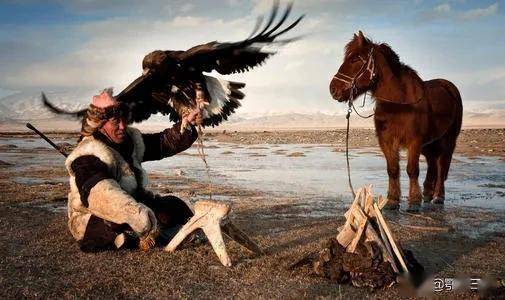 蒙古草原上的野狼,它的天敌一抓一个准,只要有狼出现,无处可逃