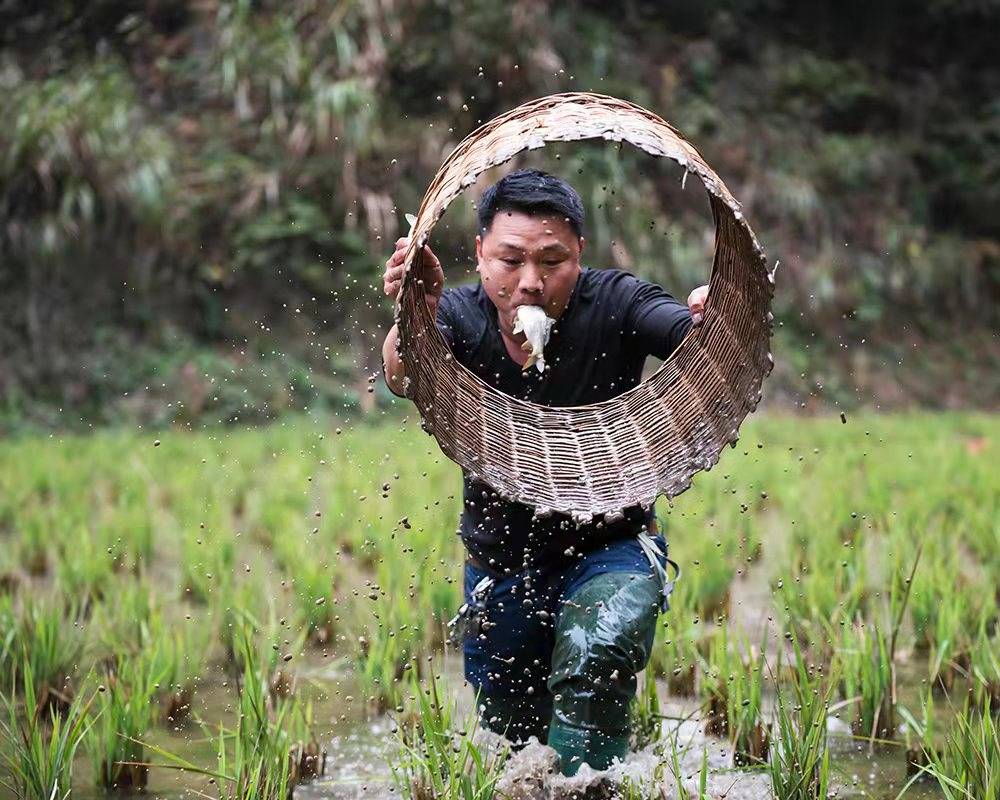 精心组织指导曲艺作品参加全省第十五届杜鹃书荟曲艺大赛,张维柱创作
