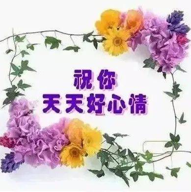 祝你天天好心情！_心存_问候_朋友
