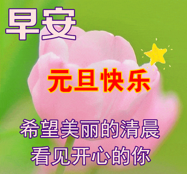 12月30日早上好动态表情图片大全早晨好动图美图大全