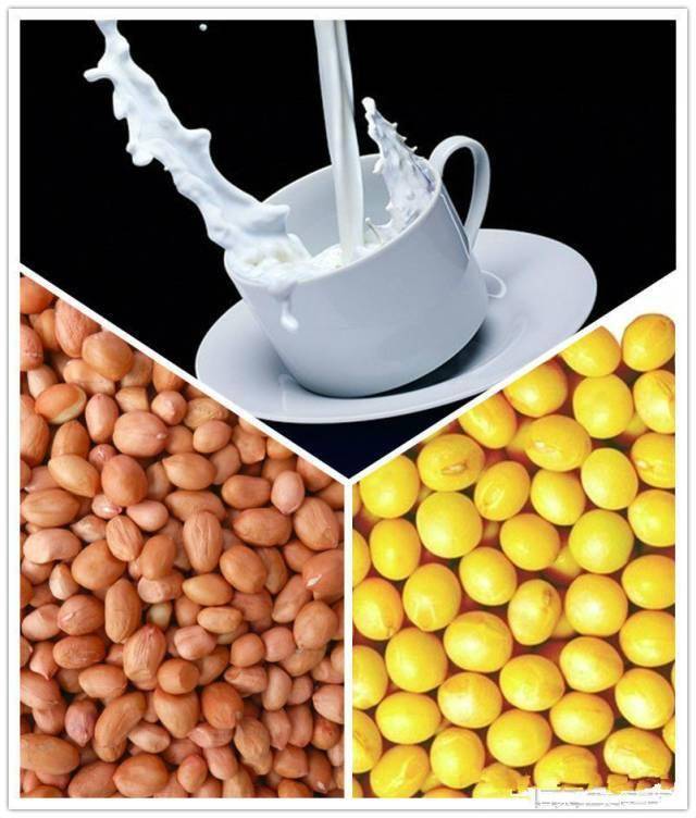 家里有豆浆机的吃货们一定来看看 很多种豆浆的做法哦 黄豆 用料 营养