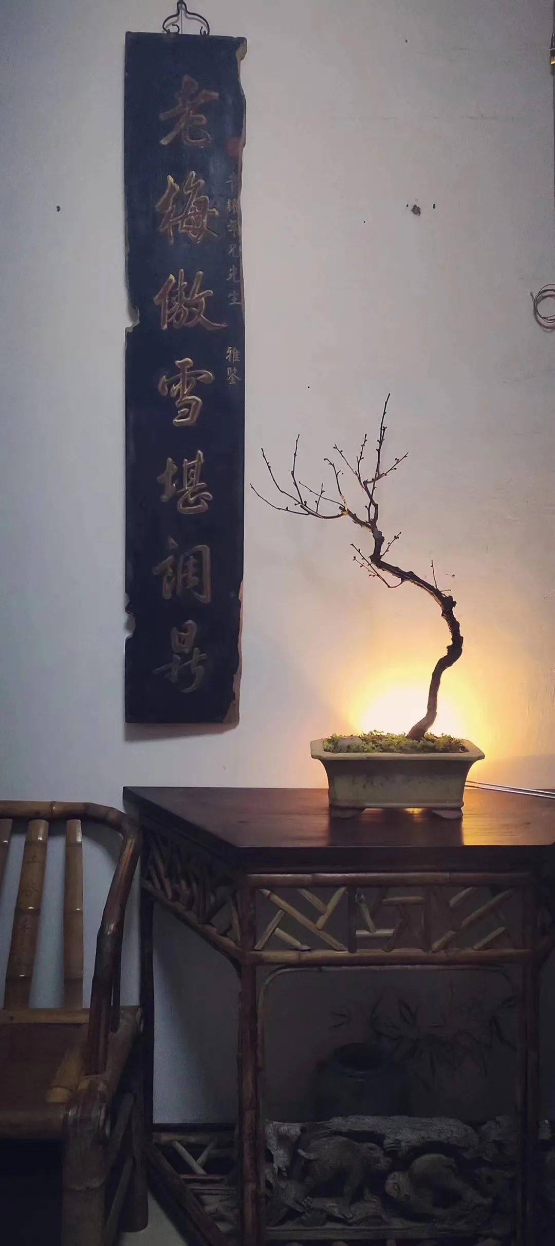 诗学基础³ x 壹葉堂 | 刘珉 x 诗意在影像记录中的风格演绎与形式表述_电影_纪录片_美学