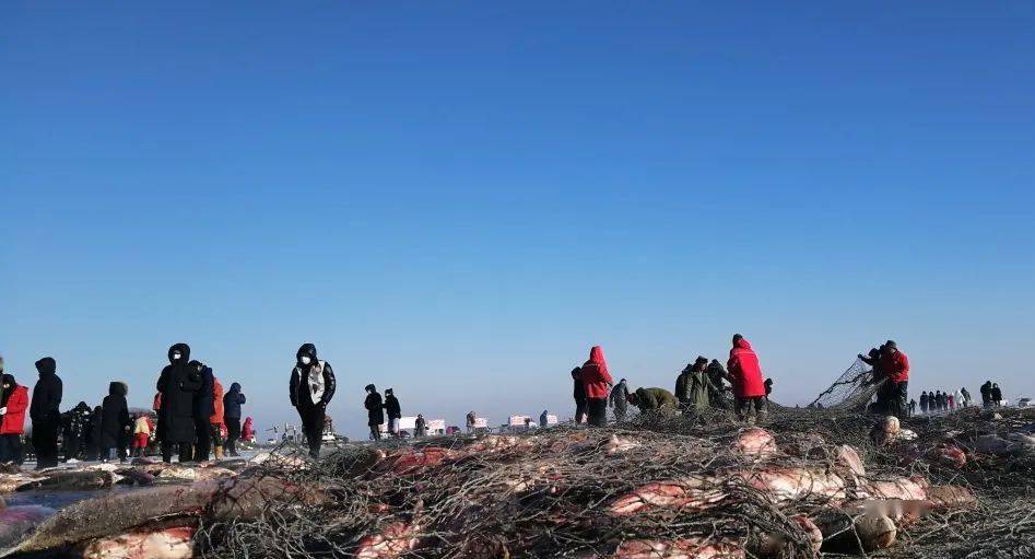 【查干湖冬捕进行时】查干湖迎来冬季游客高峰