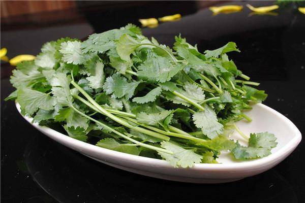 香菜怎么保存不变味 634cf31d15fc40098e3358104ba52d90.jpeg