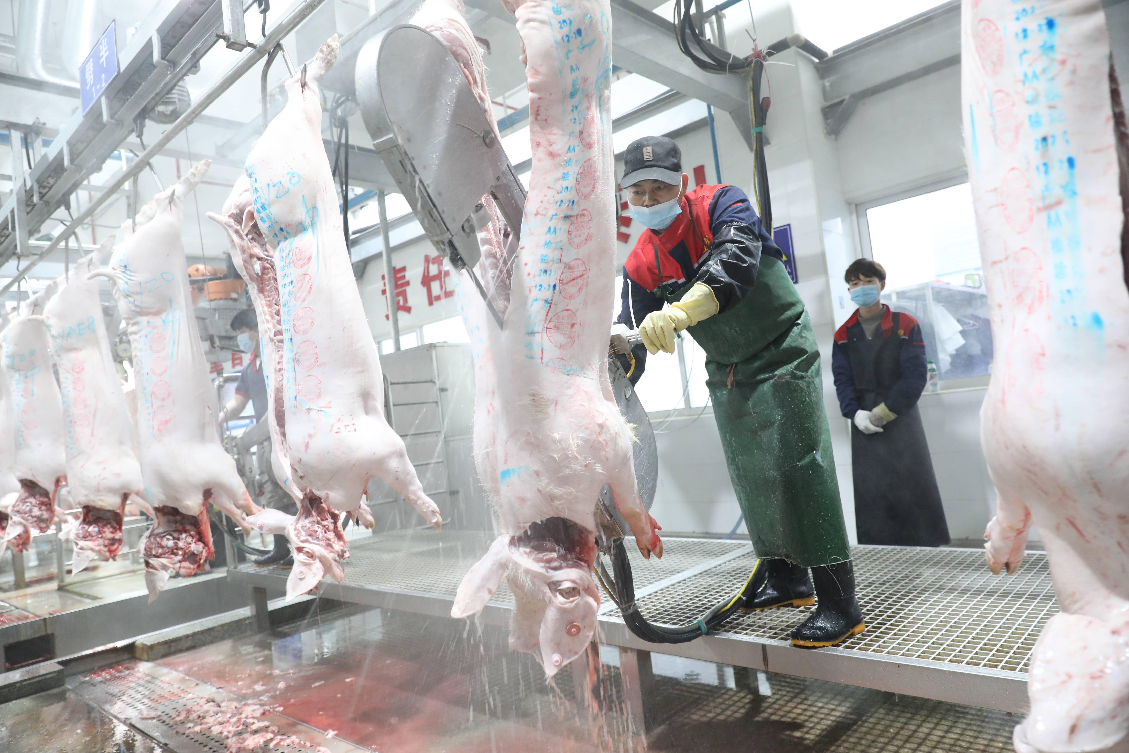 每天屠宰9000头猪,广东最牛的屠宰场是什么样的?