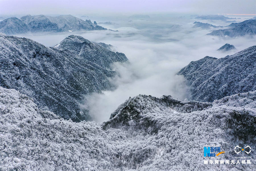 寒潮|重庆巫溪：冰雪奇缘秘境红池 这里的雪过分美丽