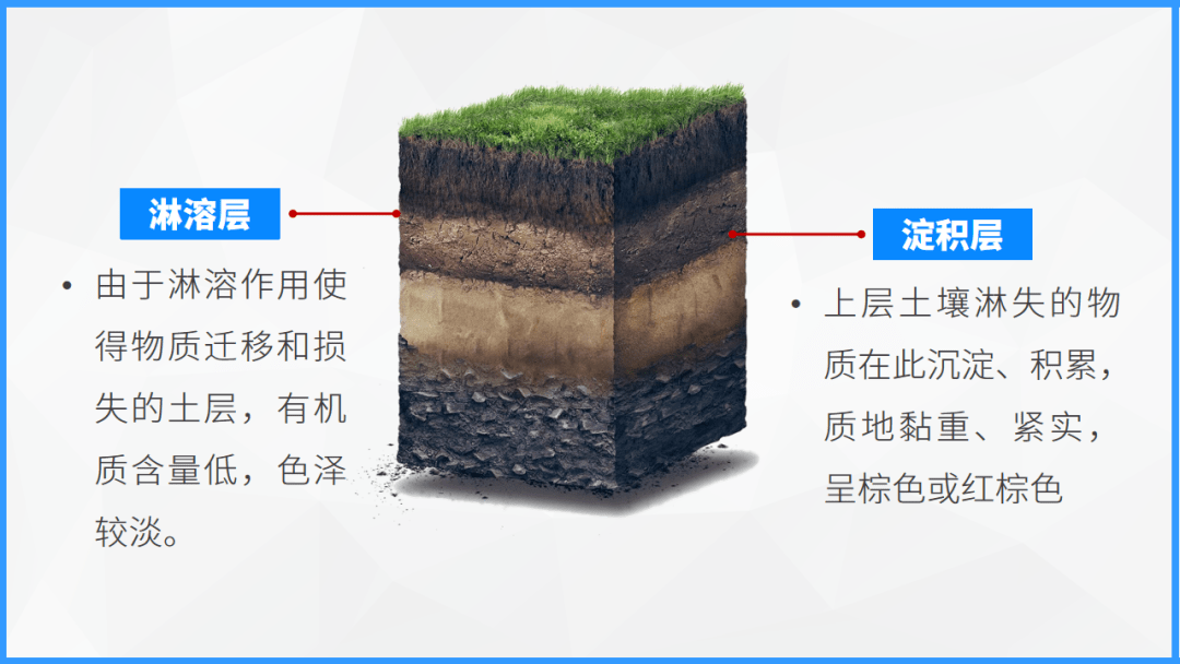 ③土壤剖面探究通过土壤分布图和土壤景观图片,介绍不同土壤的质地