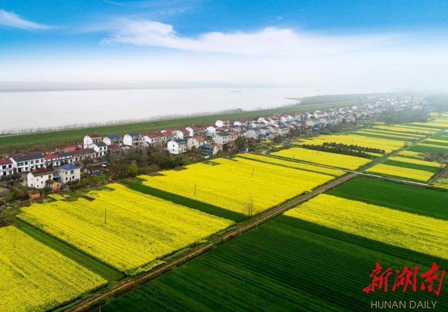 县市区长心里话丨刘琦临湘当好生态优先绿色发展排头兵