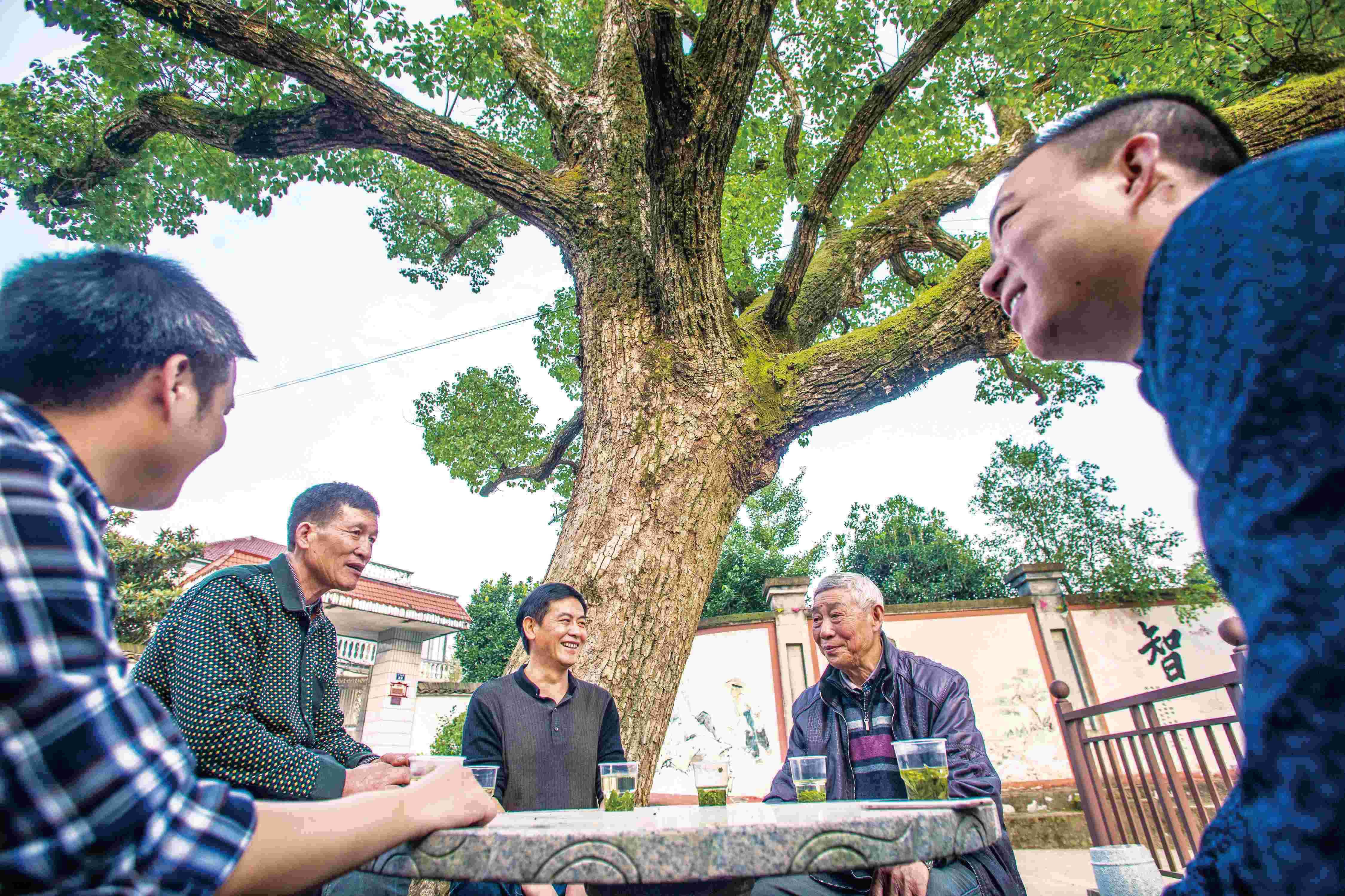 2021，乡村旅游蓄势赋能