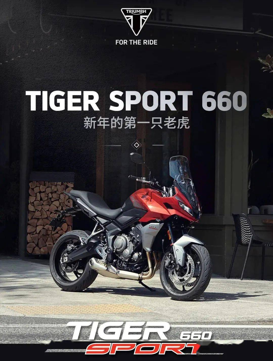 虎年第一款新车凯旋发布tigersport660售价105895元