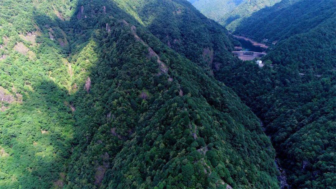 瑞安市奇雲林場(奇雲山森林公園)位於湖嶺鎮,距瑞楓線連接溫州繞城