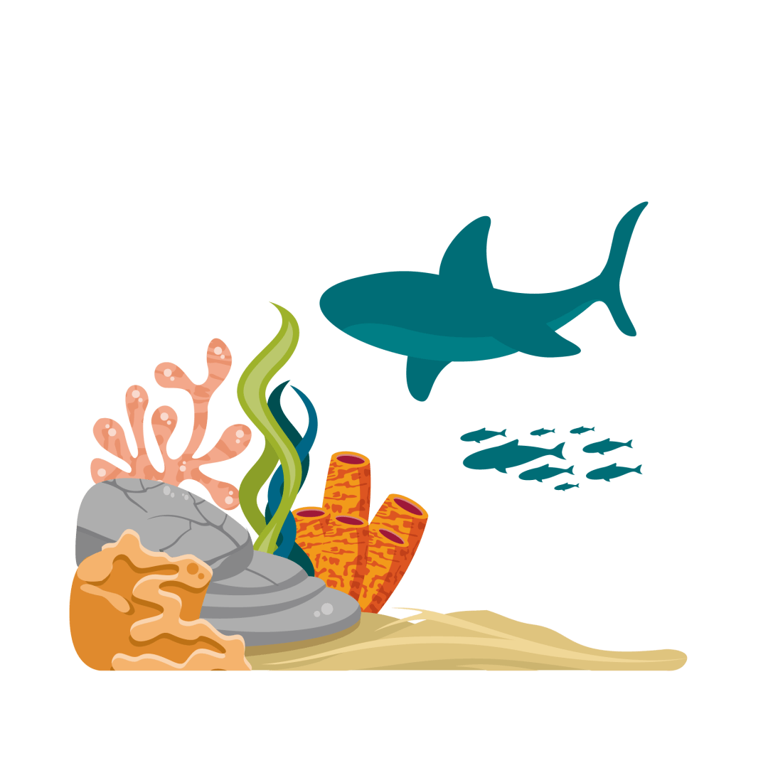 海洋大世界动物园 2249ac61a4014459a063c0f72d32c561.png