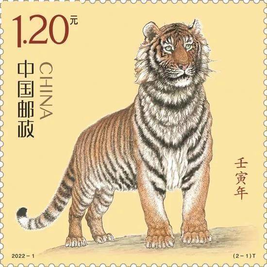 日子|#开始记日记#1799 元旦快乐