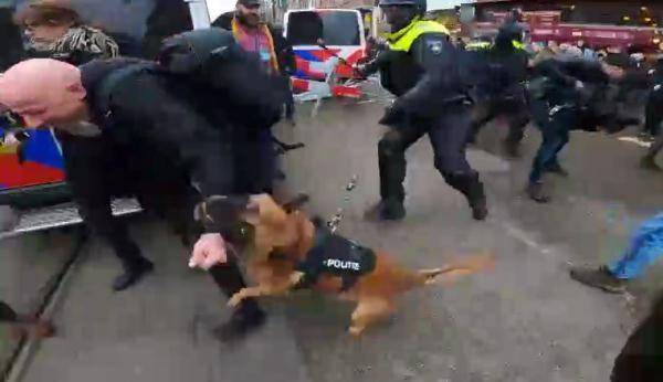 荷兰首都爆发反封锁抗议，警察放狗撕咬示威者