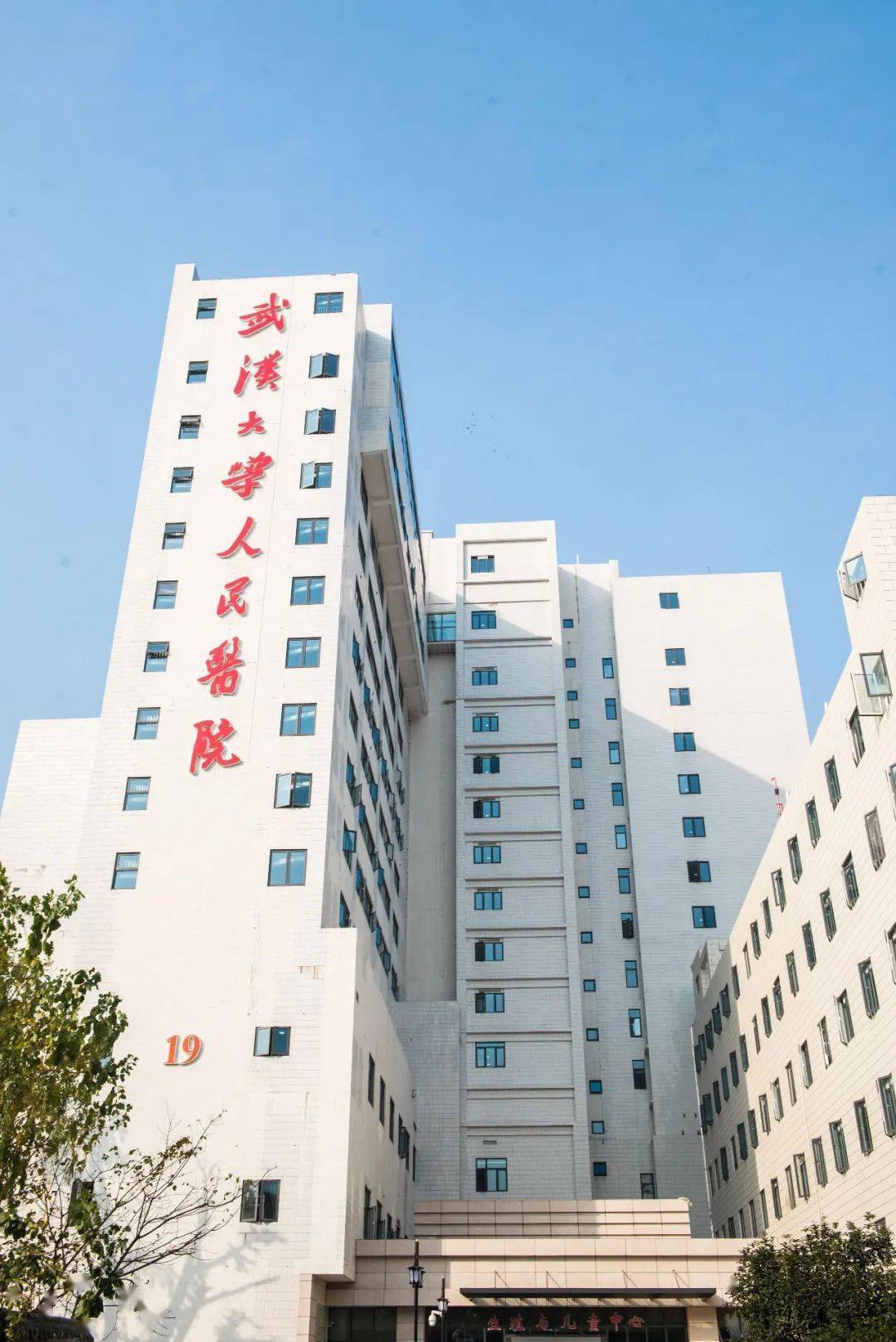 武汉大学人民医院等多家单位联合发表的论文与其它文章出现图片重复